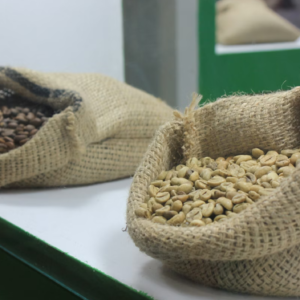 Arabica Coffee