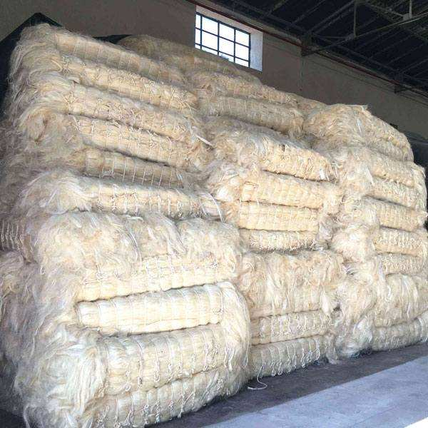 Sisal Fibre - Image 3