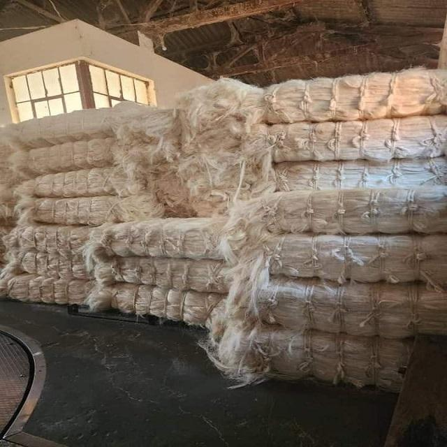Sisal Fibre
