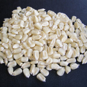 White Corn -Non-GMO